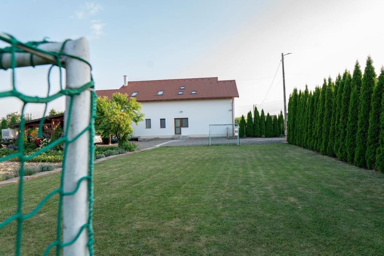 Pensiunea Gassi Sancraiu de Mures Extérieur photo