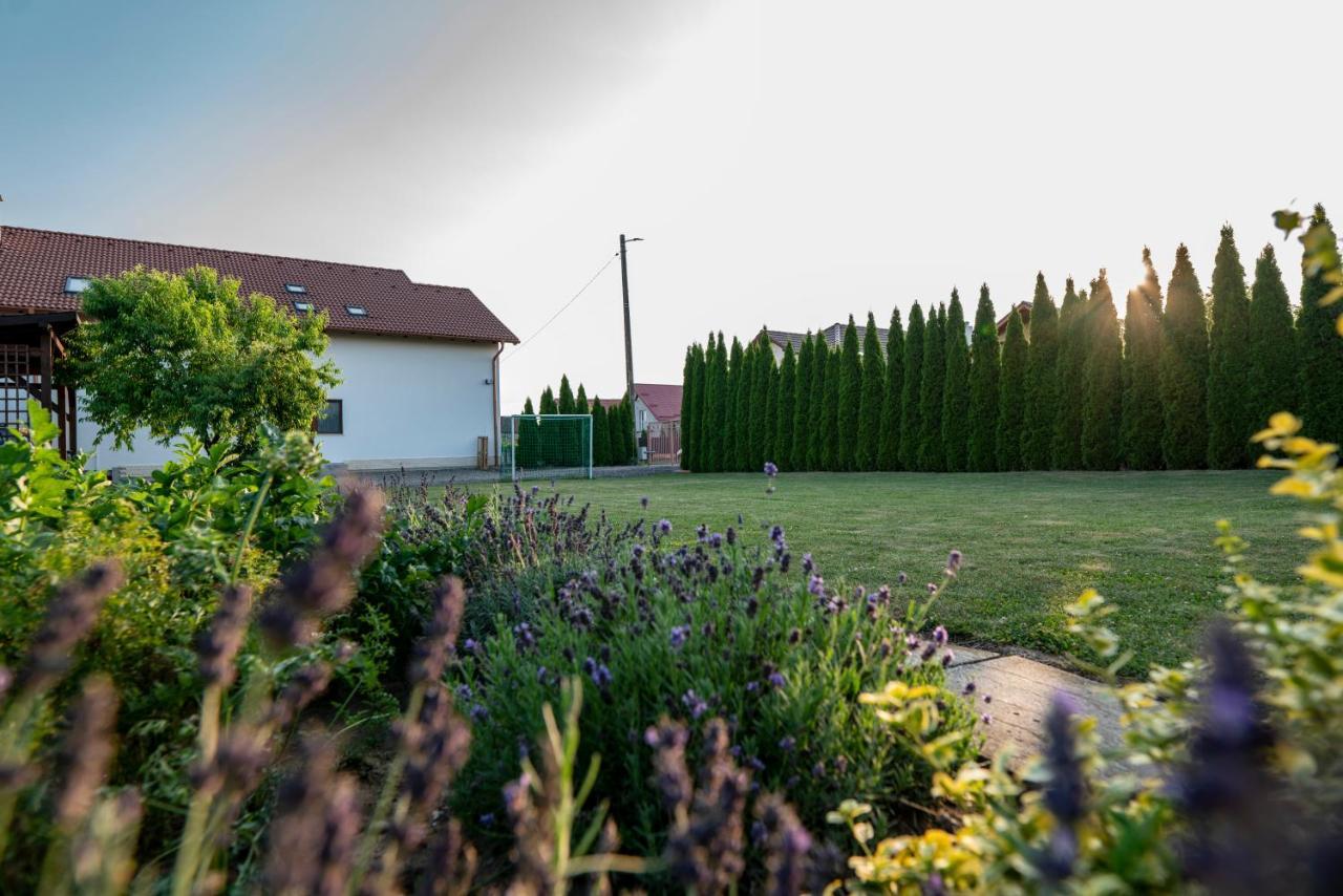 Pensiunea Gassi Sancraiu de Mures Extérieur photo